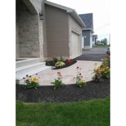 image11