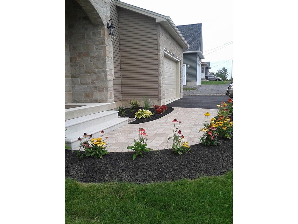 image11