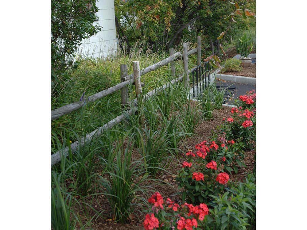 image13